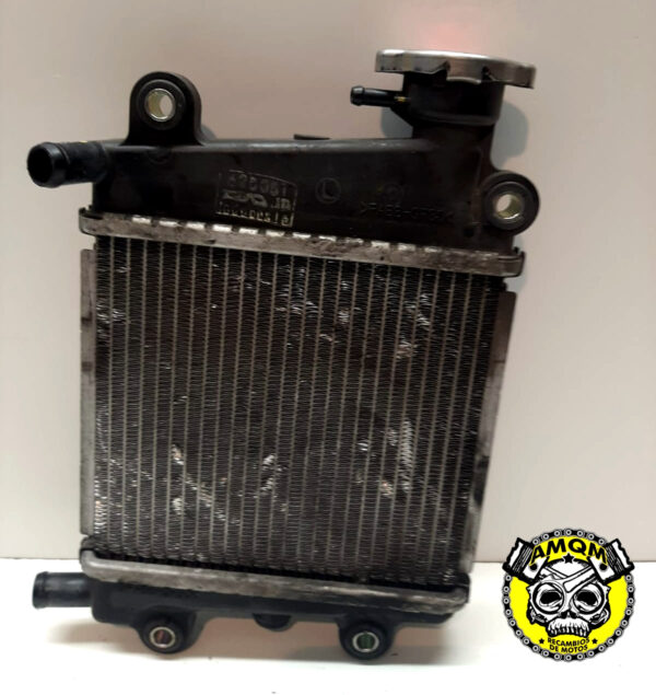 radiador 60E