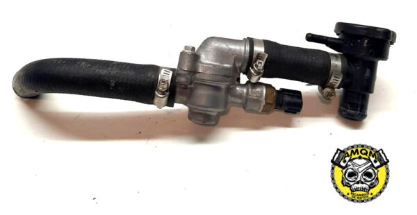termostato agua 20