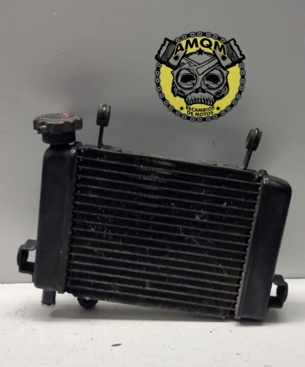 radiador 25