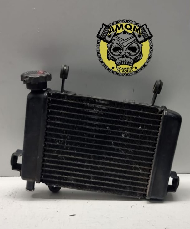 radiador 25