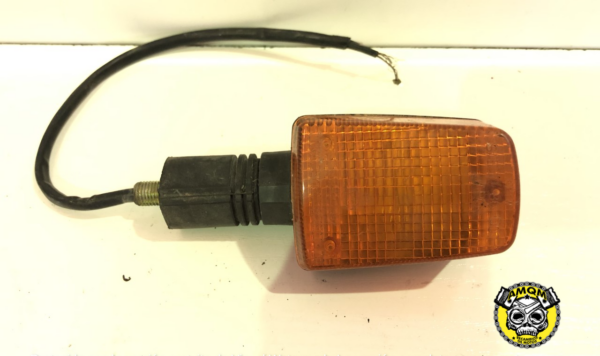 Intermitente delantero izquierdo 10E 2
