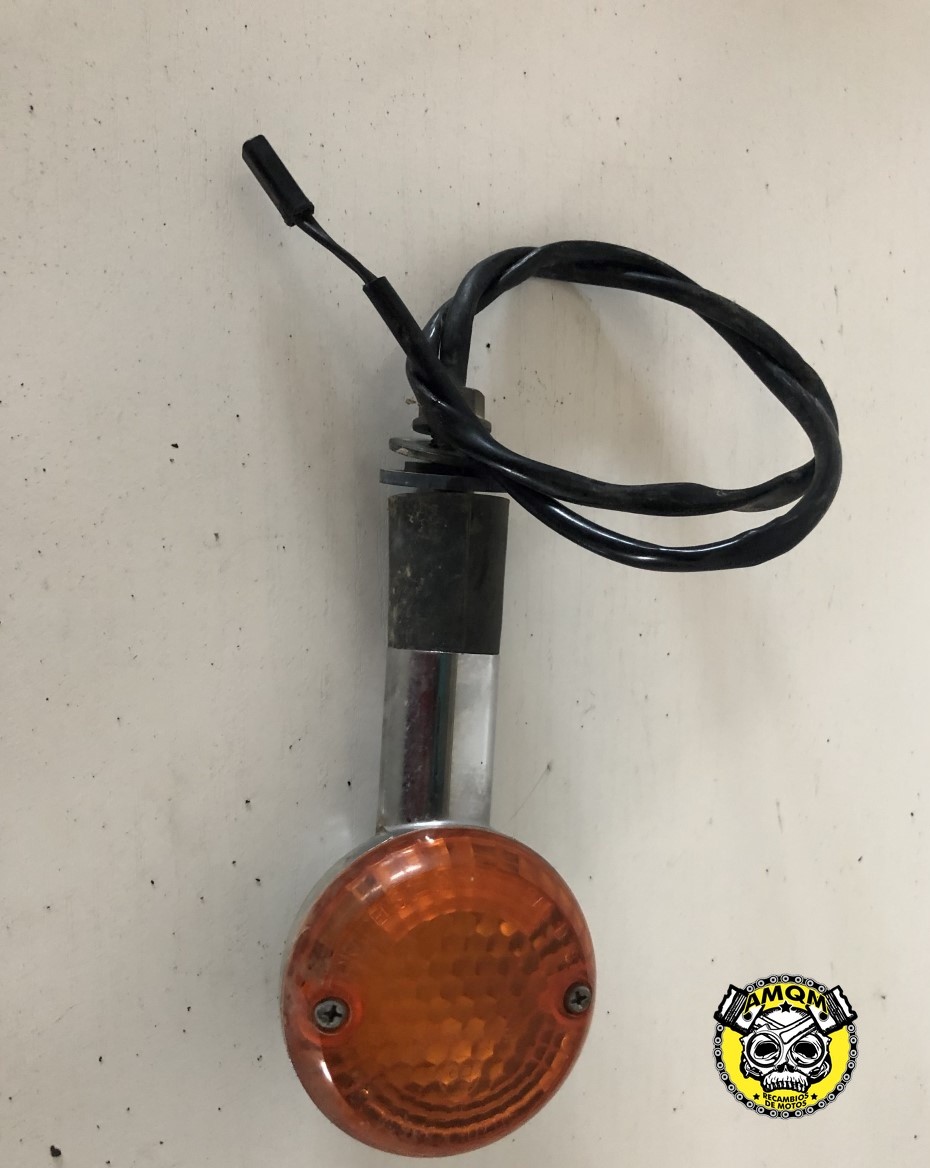 Intermitente delantero izquierdo 10E