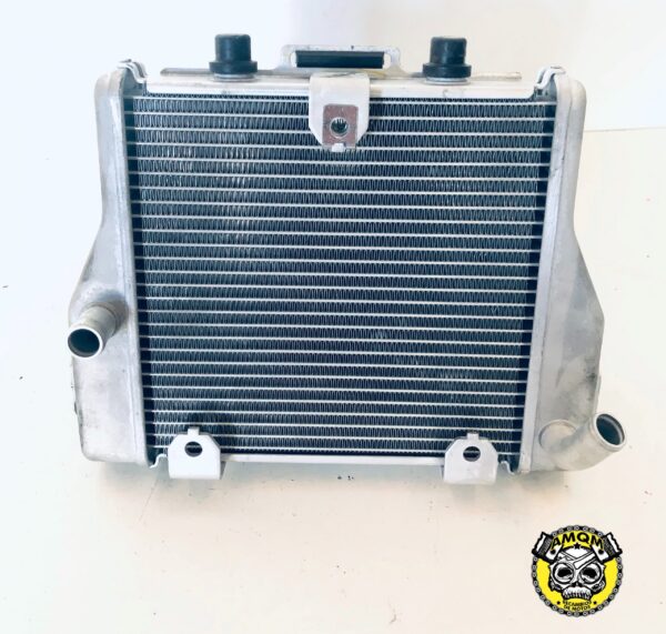 radiador 100