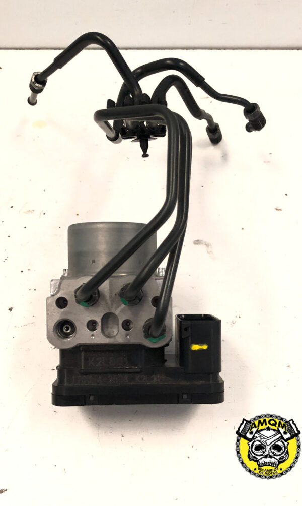 modulo abs 300