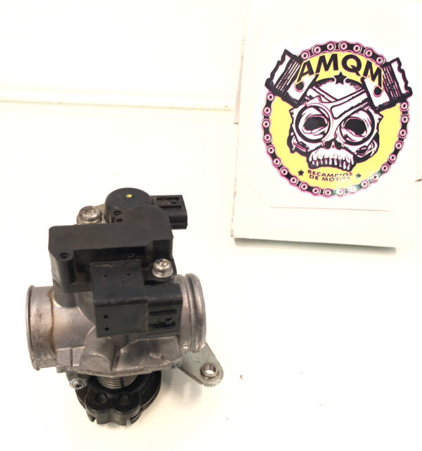 6032 cuerpo de inyección