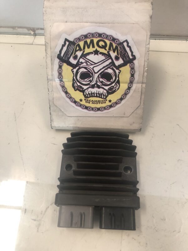 1095119JPG