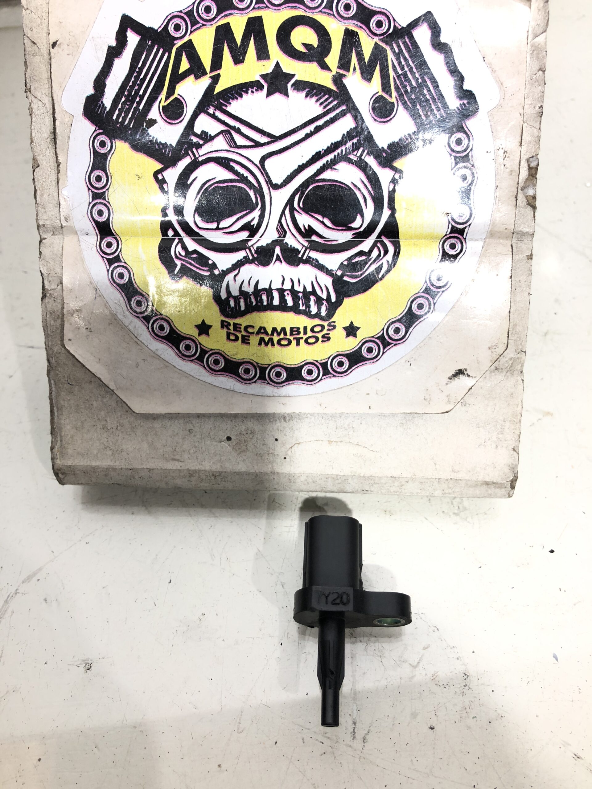 1123203JPG