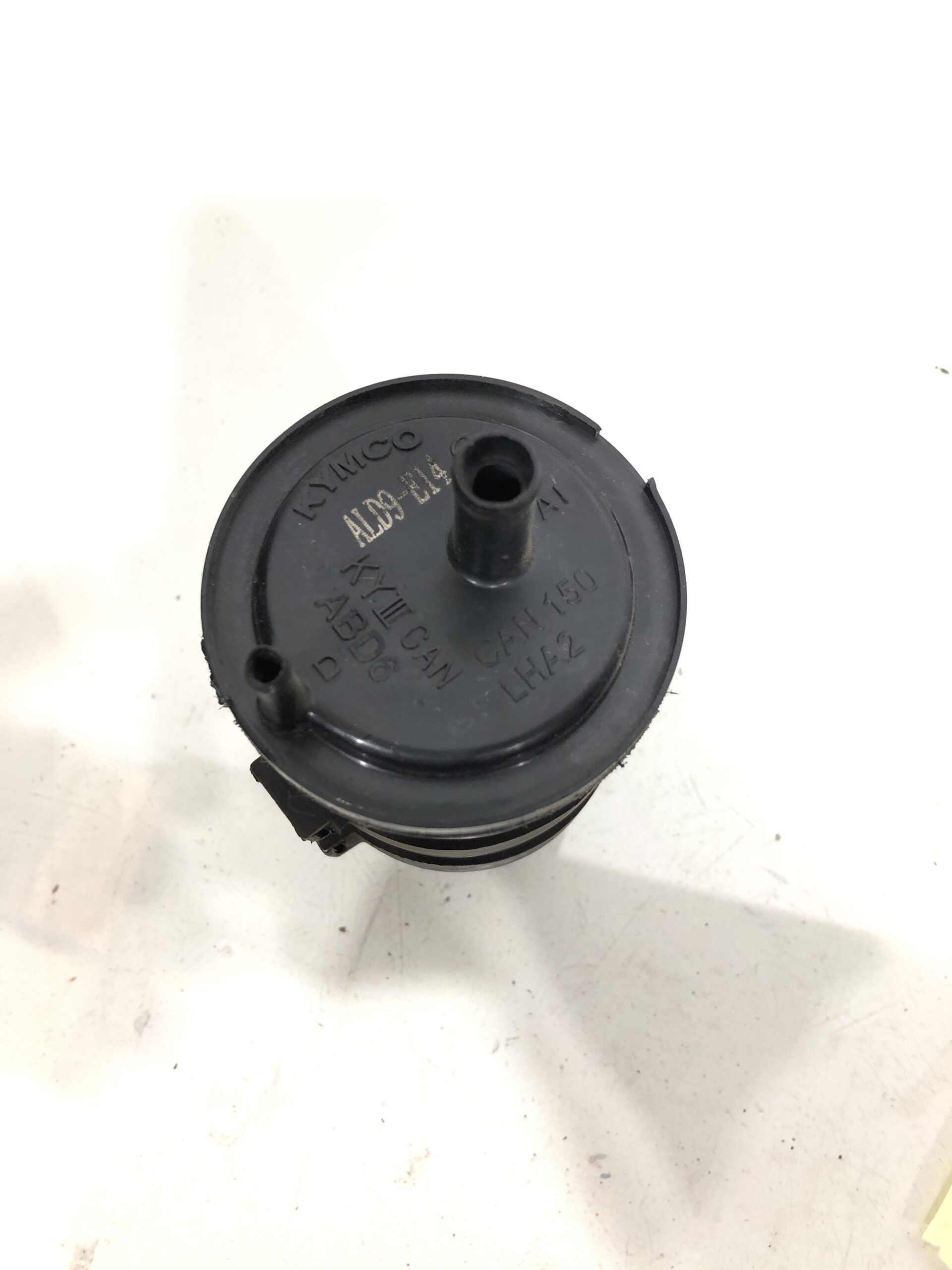 1124174